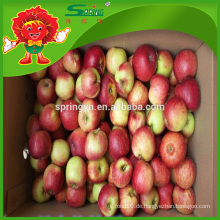 Rote Fuji Apfel Fabrik Preis chinesischen Apfel